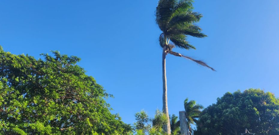 Fuertes vientos seguirán este jueves con máximas de 100 km/h en Guanacaste