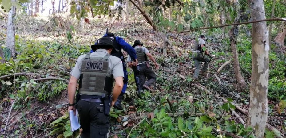 Sinac detectó 605 ingresos ilegales a Parques Nacionales en lo que va del año; volcanes activos son los más frecuentados