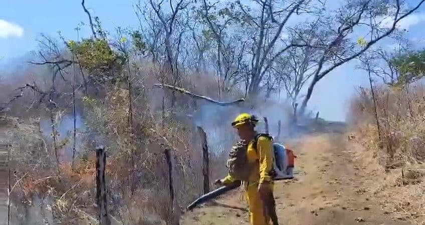 Video | Bomberos atienden el cuarto incendio forestal del año; más de 100 hectáreas afectadas en Guanacaste