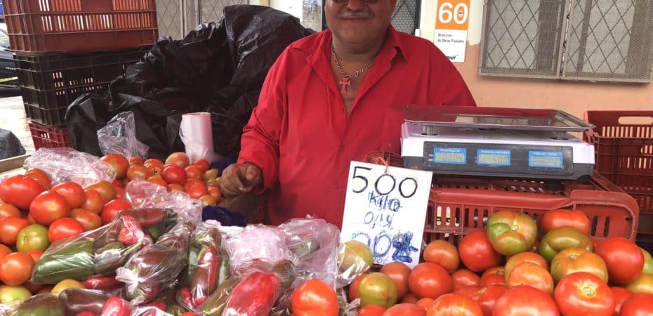 Kilo de tomate por encima de los ¢2.000 en la feria del agricultor: ¿Por qué y hasta cuándo?