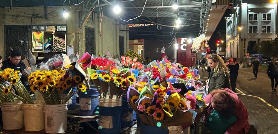 ⁠“Los números no están dando”: tipo de cambio opaca los buenos resultados de las exportaciones de flores para este San Valentín