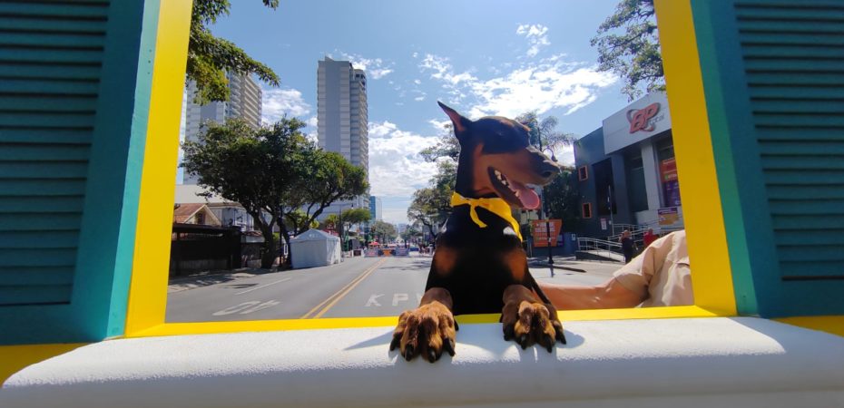 Regresa el concierto para mascotas en los Domingos sin Humo en el Paseo Colón: próximas fechas el 3 y 11 de marzo