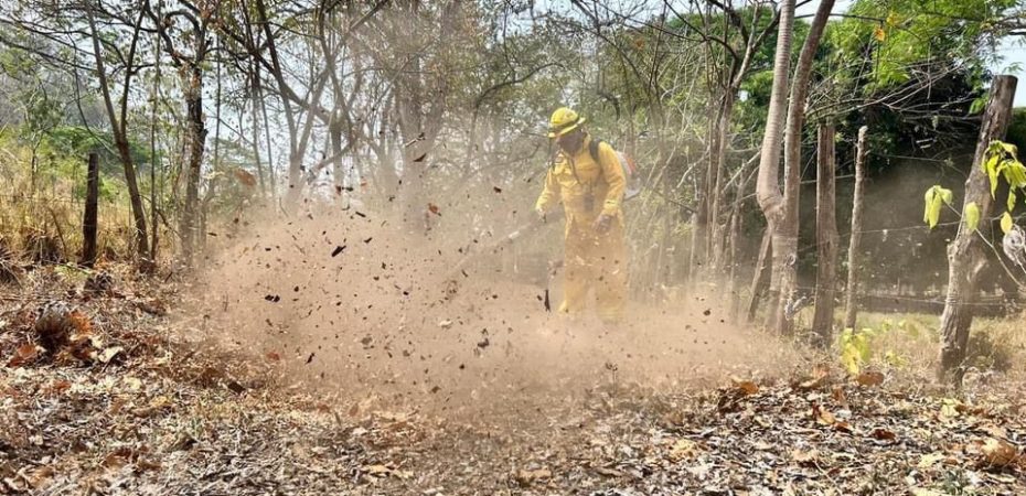 Incendio en Isla Chira consumió 286 hectáreas; instituciones se unen para tratar de apagar las llamas