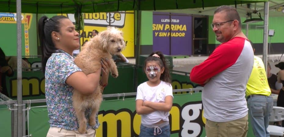 Feria en Tienda Monge de Zapote busca hogar para 35 perros este sábado