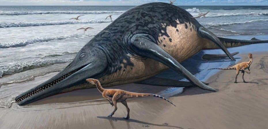 Cómo era el antiguo reptil marino del tamaño de dos autobuses cuyo fósil fue hallado en Reino Unido