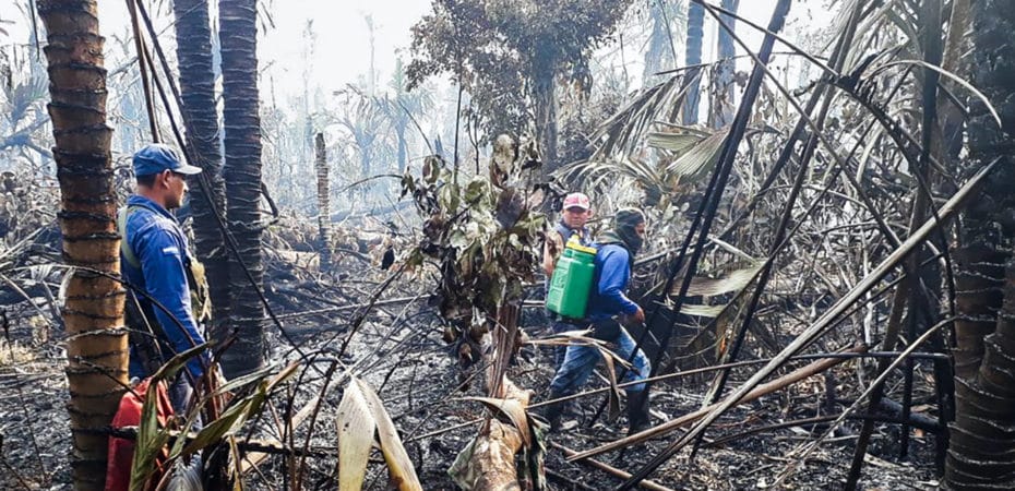 ‘Patrullaje’: el documental que retrata la destrucción del bosque de Nicaragua, el país más deforestado de la región