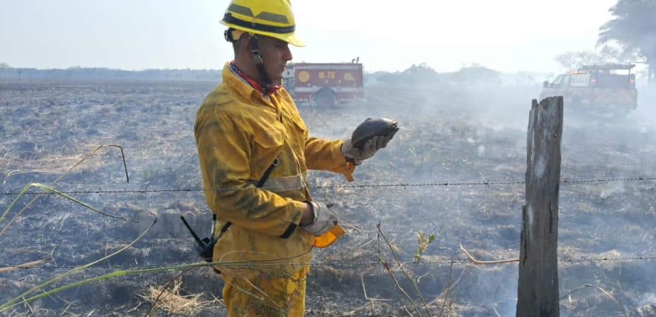 “De 0 a 86 en tan solo 96 días”: peores  incendios forestales en 10 años desafían a Bomberos y naturaleza