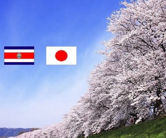 Costa Rica recibe una exhibición de Japón para conocer más al país del “sol naciente”