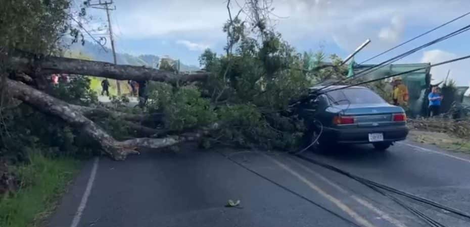 Bomberos reportan 71 incidentes por causa de los fuertes vientos en Costa Rica